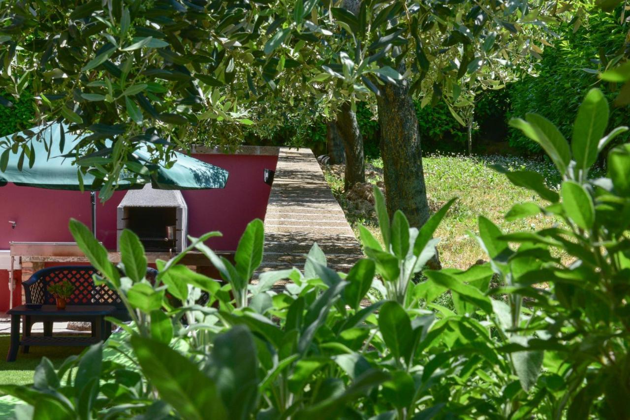 B&B Villa Passero Torricella Sicura Ngoại thất bức ảnh